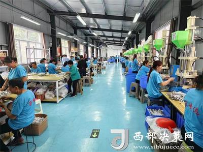 山溝溝里飛出“金線線” 鎮(zhèn)巴縣巴廟鎮(zhèn)的電子技術(shù)發(fā)展之路